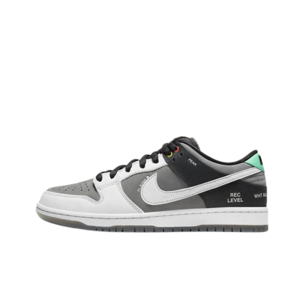 Nike Dunk Low SB Camcorder VX1000