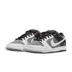 Nike Dunk Low SB Camcorder VX1000